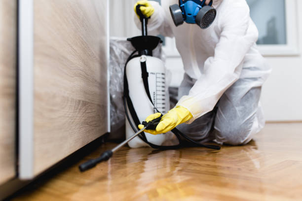 Best Pest Control for Homes  in Madeira, OH