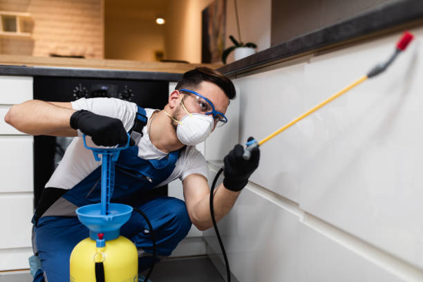 Best Best Pest Control Companies  in Madeira, OH