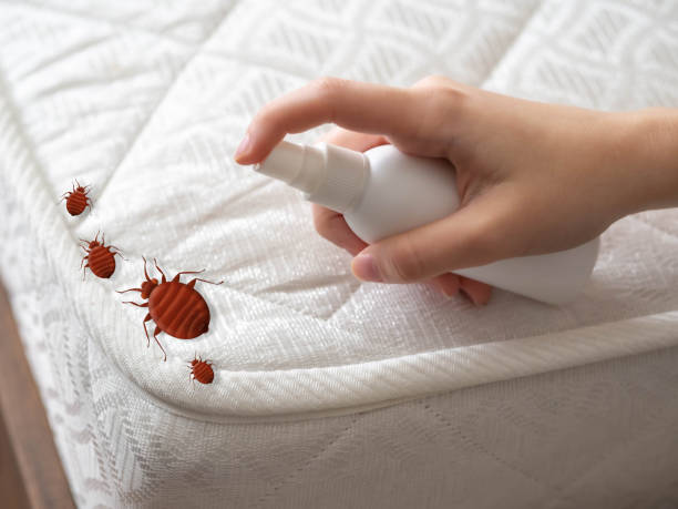 Best Mosquito Control Services  in Madeira, OH